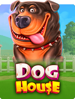 Play Dog House games on Solcasino.es
